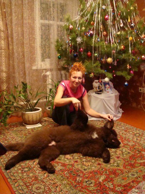 Фотография № 84994