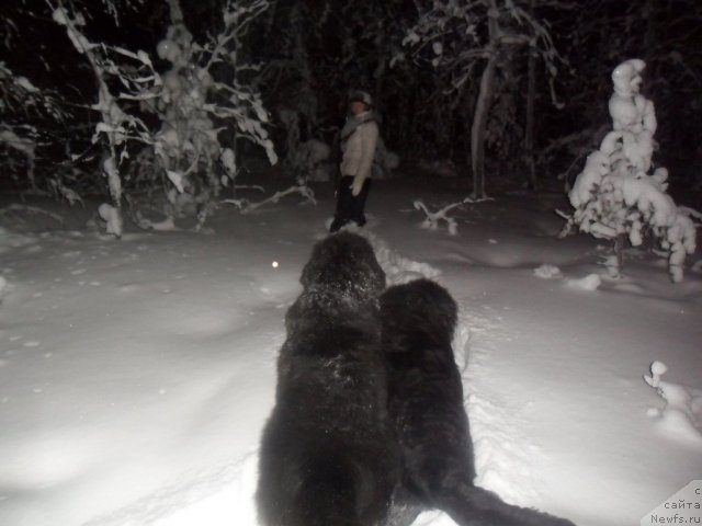 Фото: Аурика и Омар Шериф, Нина (хозяйка Аурики)