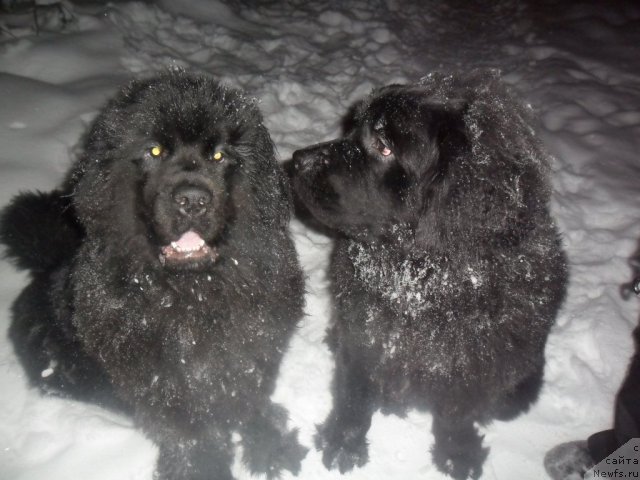 Фотография № 85001