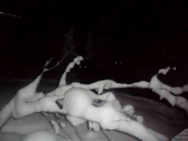 Фотография № 85005