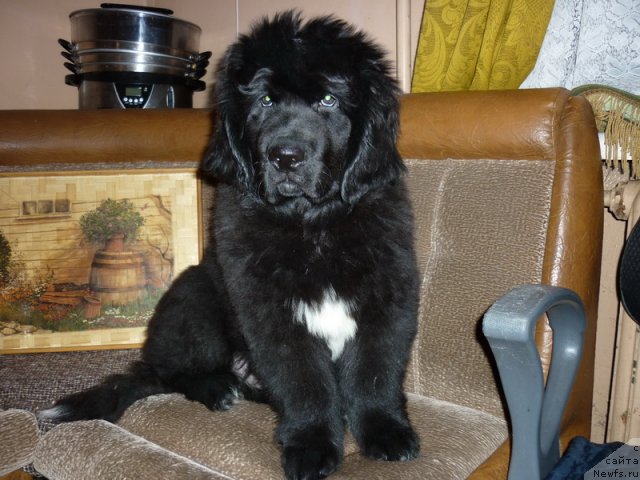 Фото: Сергей Краснов