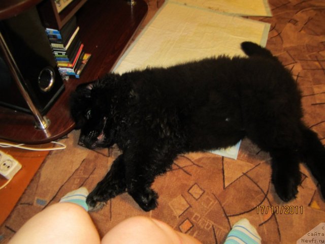 Фото: Светлана Симеонова