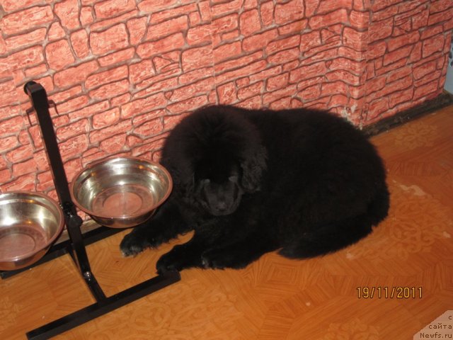 Фото: Светлана Симеонова