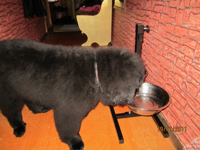 Фото: Светлана Симеонова