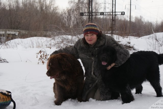 Фото: ньюфаундленд Гармония, ньюфаундленд Юнита Бархатная ночь, Ольга Михайлова