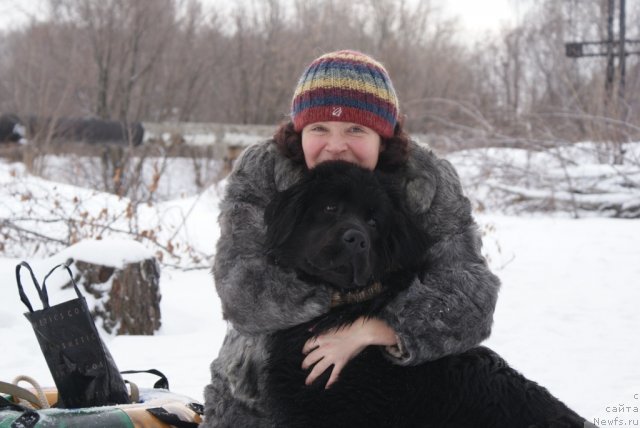 Фото: ньюфаундленд Юнита Бархатная ночь, Ольга Михайлова