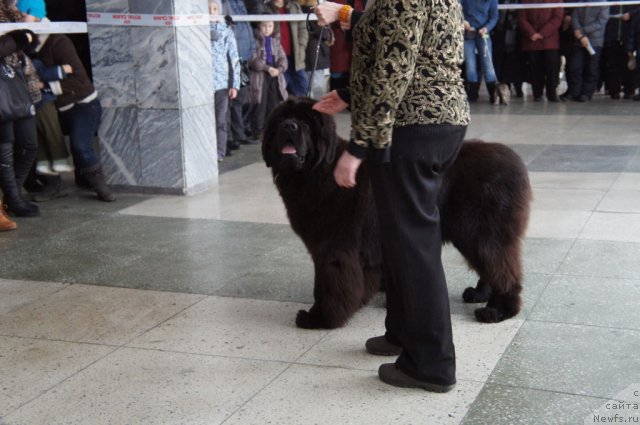 Фотография № 85114