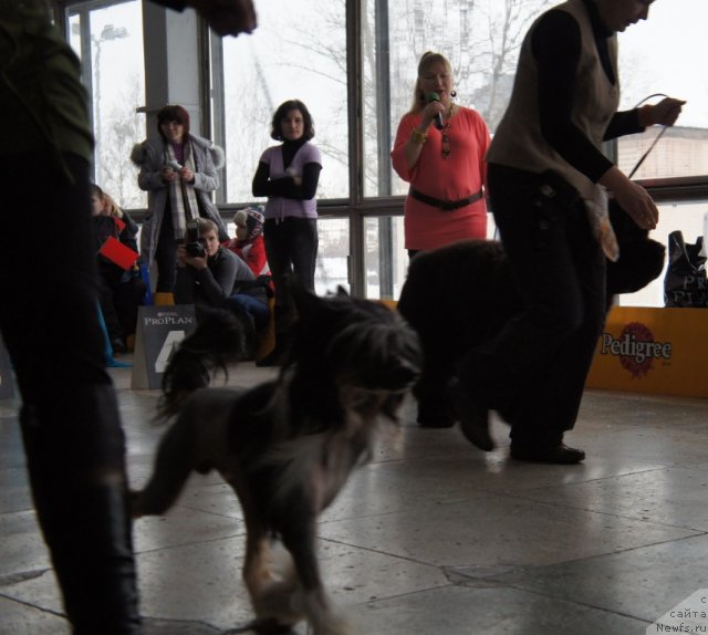 Фотография № 85115