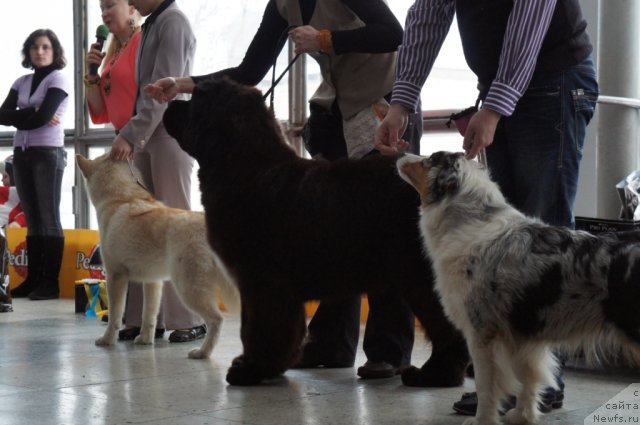 Фотография № 85116