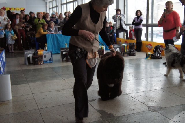 Фотография № 85117