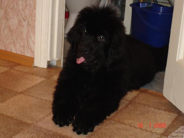 Фото: Денис Климонов