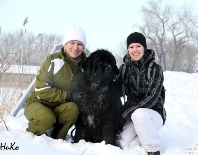 Фотография № 85315