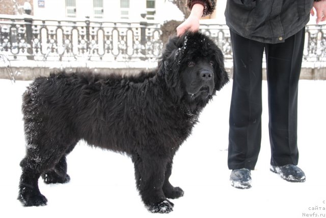 Фотография № 85345