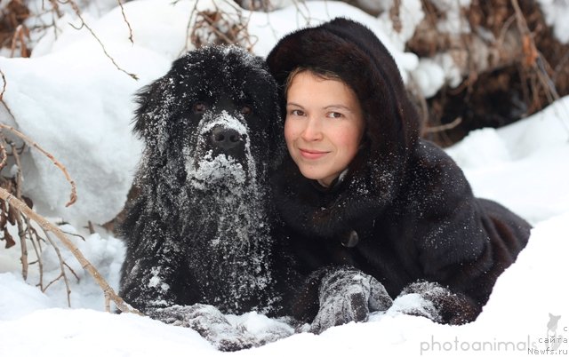 Фотография № 85359