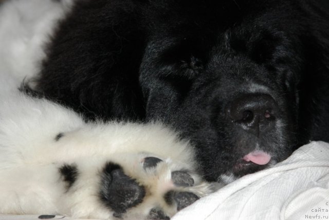 Фотография № 85372