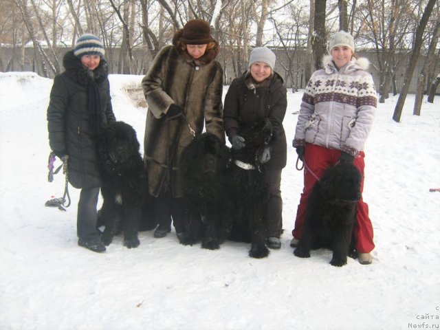 Фотография № 85394