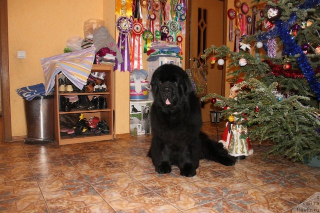 Фотография № 85403