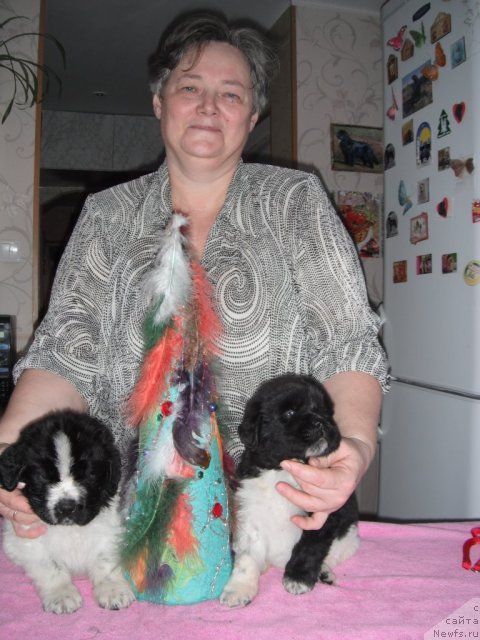 Фотография № 85469