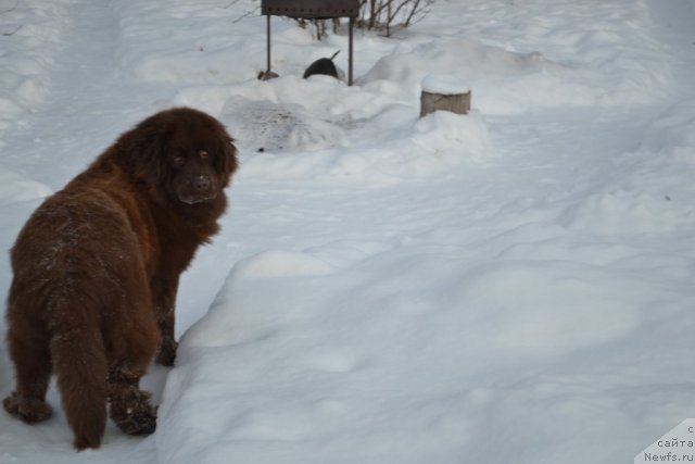 Фото: [p2130]Зося (Злата).