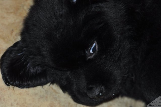 Фото: Алексей Красноперов