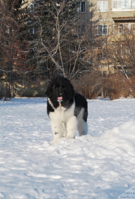 Фотография № 85665