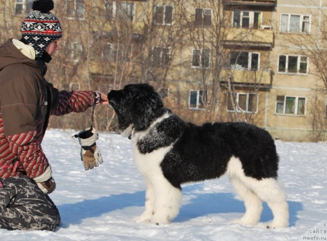 Фотография № 85666