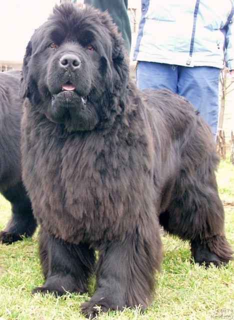 Фотография № 85685