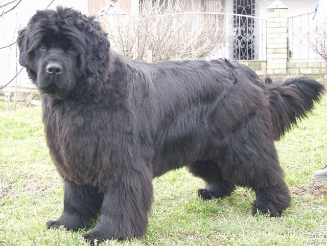 Фотография № 85687