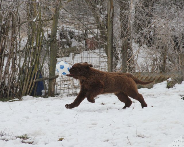 Фотография № 85707