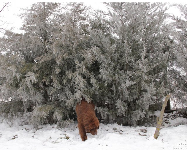 Фотография № 85713