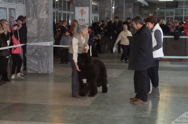 Фотография № 85755