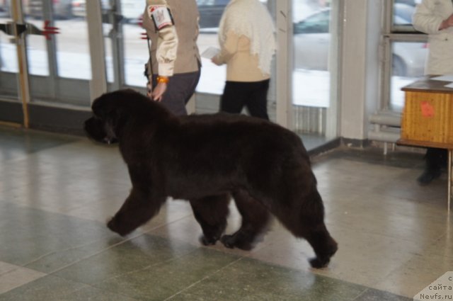 Фотография № 85756