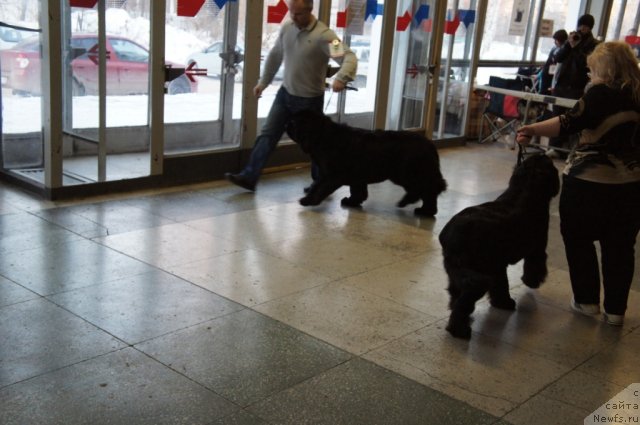 Фотография № 85762