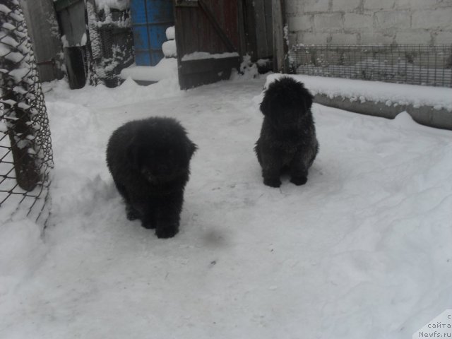 Фотография № 85764