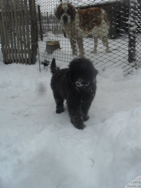 Фотография № 85765