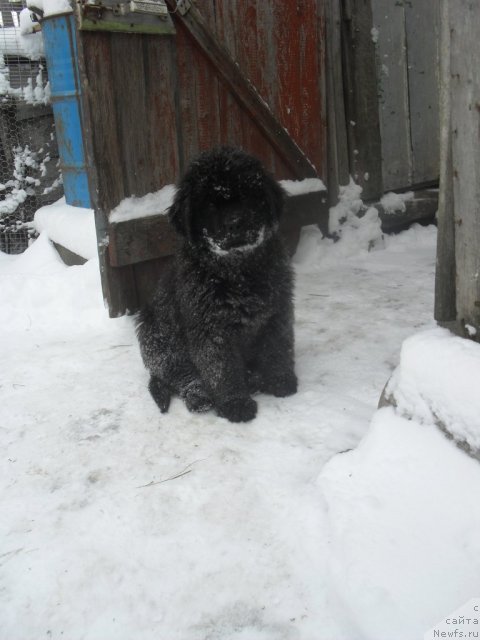 Фотография № 85767