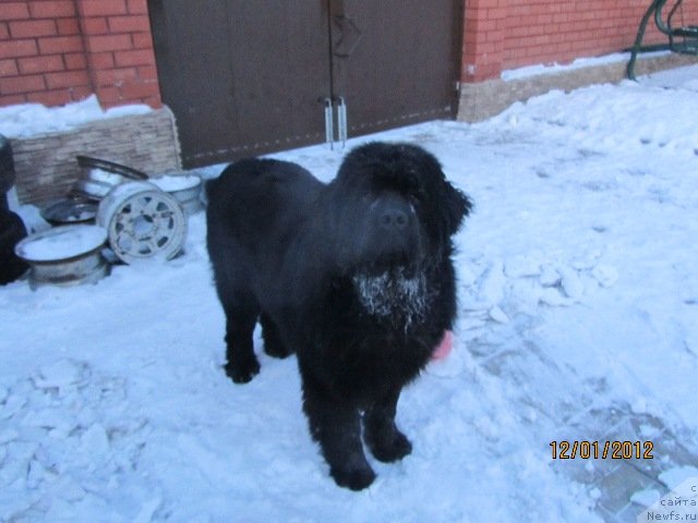 Фотография № 85775