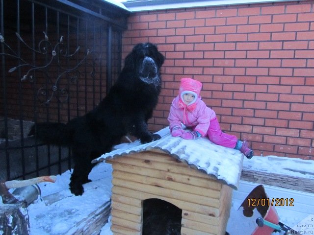 Фотография № 85776