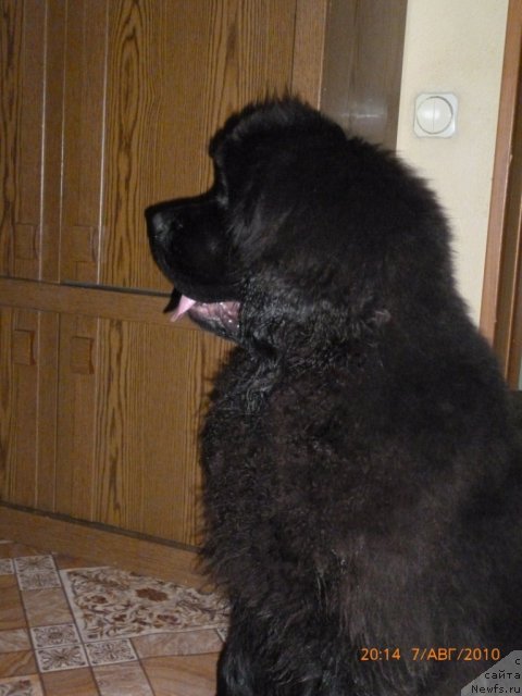 Фотография № 85785