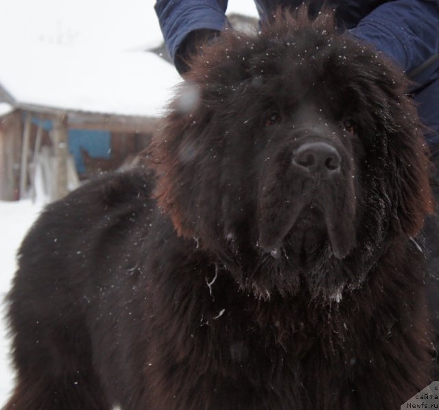 Фотография № 85790