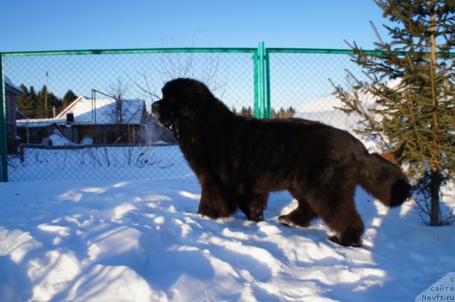 Фотография № 85796