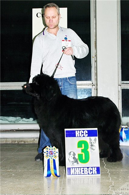 Фотография № 85833