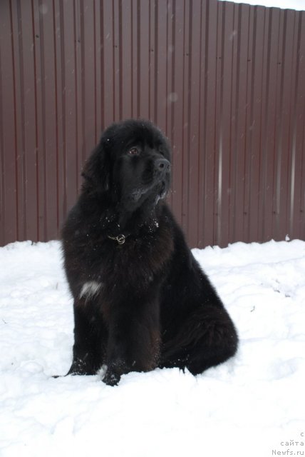 Фотография № 85889