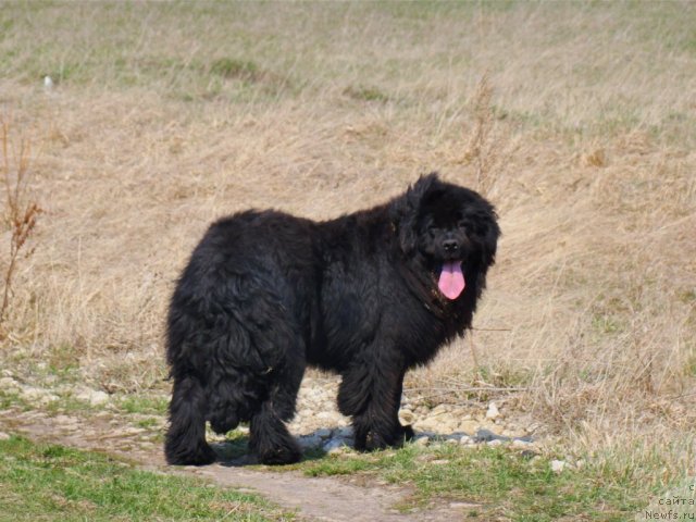 Фото: Алия Абдурахманова