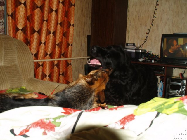 Фотография № 85974