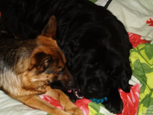 Фотография № 85976