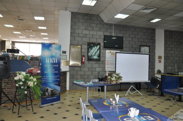 Фотография № 86023