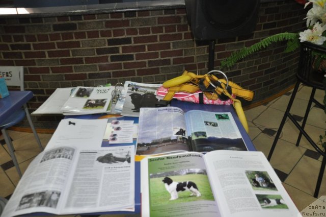 Фотография № 86024