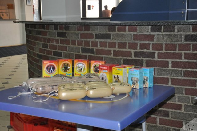 Фотография № 86025