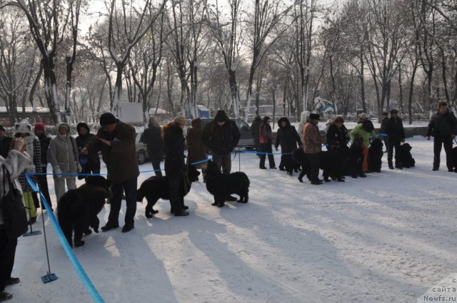 Фотография № 86030